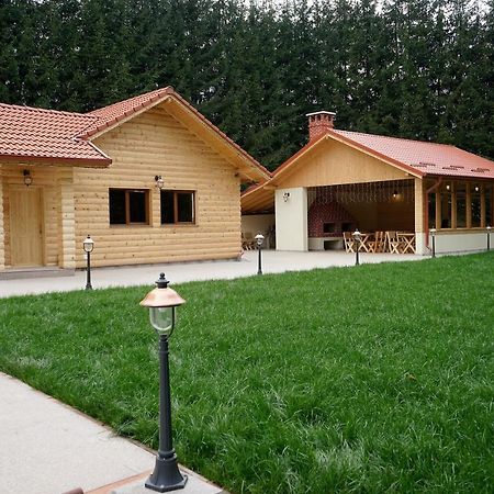 Pensiunea Floarea De Colt Nucsoara  Exterior photo