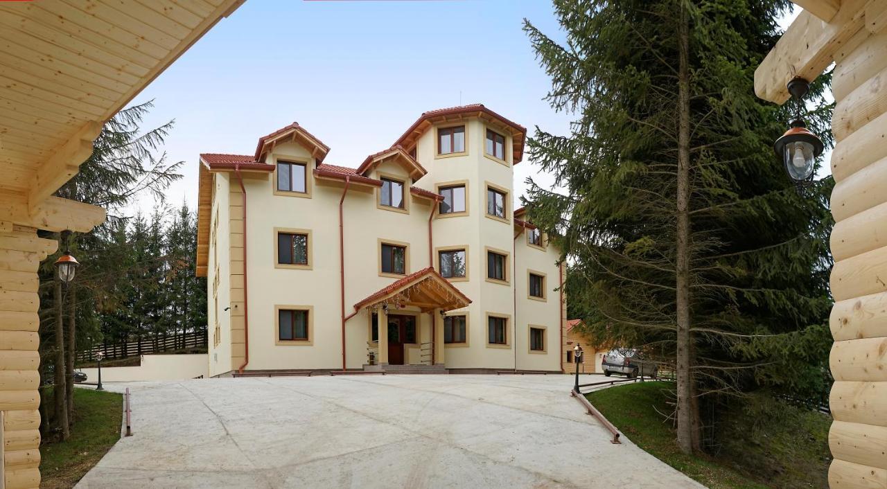 Pensiunea Floarea De Colt Nucsoara  Exterior photo