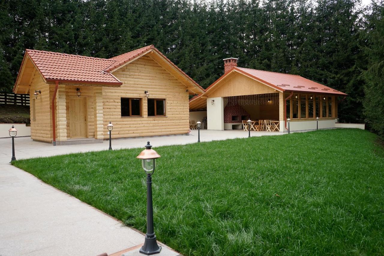 Pensiunea Floarea De Colt Nucsoara  Exterior photo